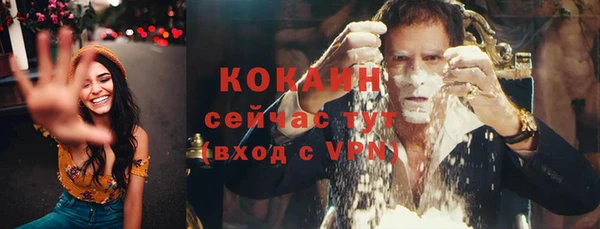 винт Нея