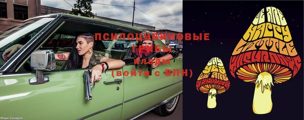винт Нея