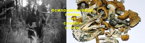 гидропоника Нефтекумск